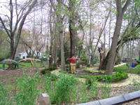 site2